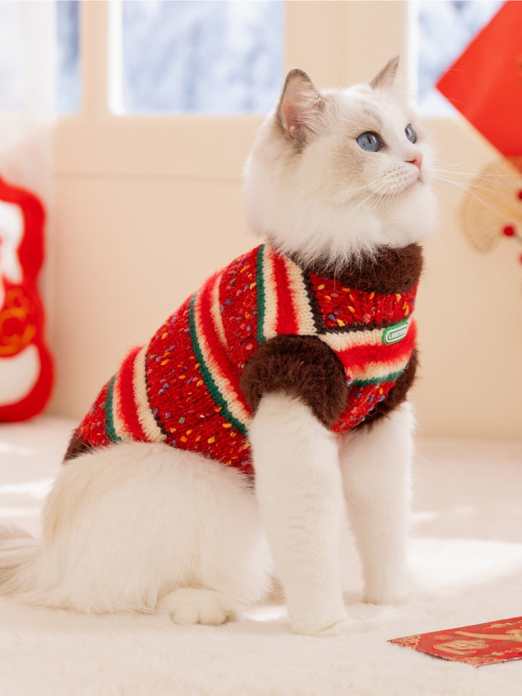White Ragdoll cat wearing a red, green, and white striped knit sweater with brown fuzzy trim.