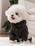 Small dog wearing a black puffer jacket with a hood