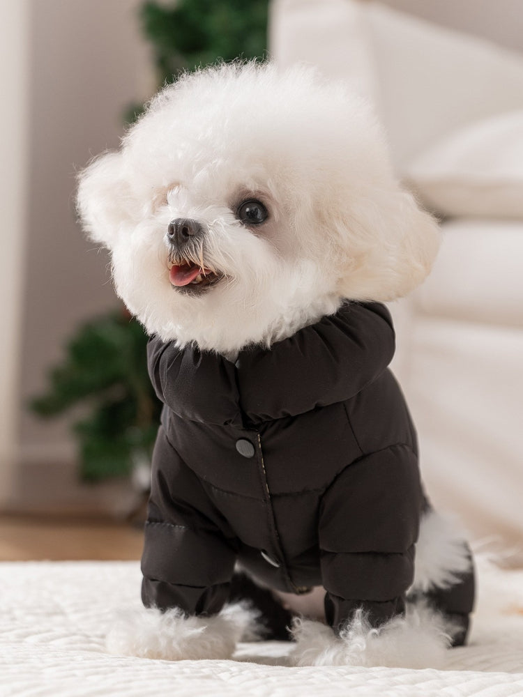 Small dog wearing a black puffer jacket with a hood