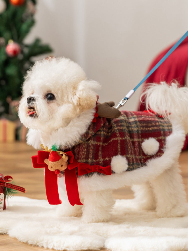 White dog wearing a red plaid pet coat with a leash attached, showcasing holiday design