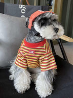 Mini Schnauzer dog wearing a striped pet t-shirt and an orange baseball cap.