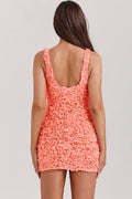 Faena Sorbet Plunge Floral Applique Mini Dress | Dress In Beauty