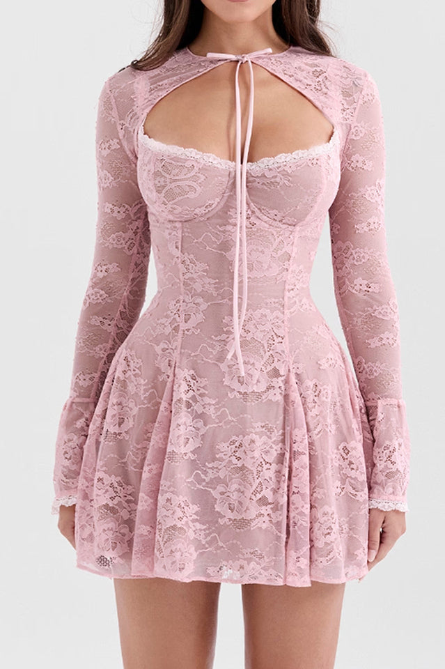 Alice Pink Lace Mini Dress | Dress In Beauty