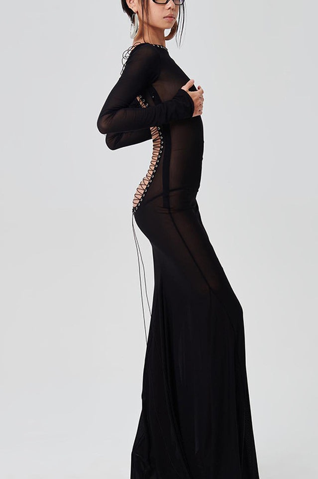 Sheer Backless Long Sleeve Dress | Dress In Beauty