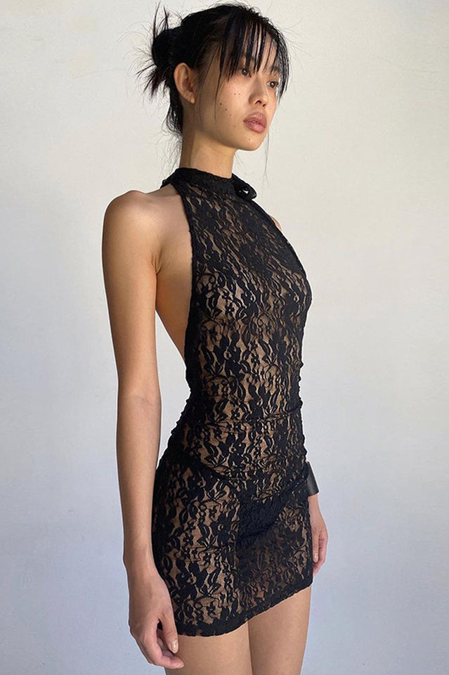 See Through Lace Mini Dress | Dress In Beauty