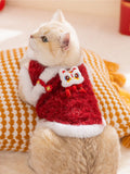 Close-up of a cat wearing a festive red vest with a white embroidered lion head applique and red tassels.