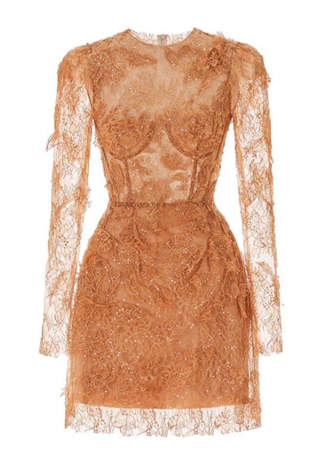Honey Beaded Lace Mini Dress | Dress In Beauty