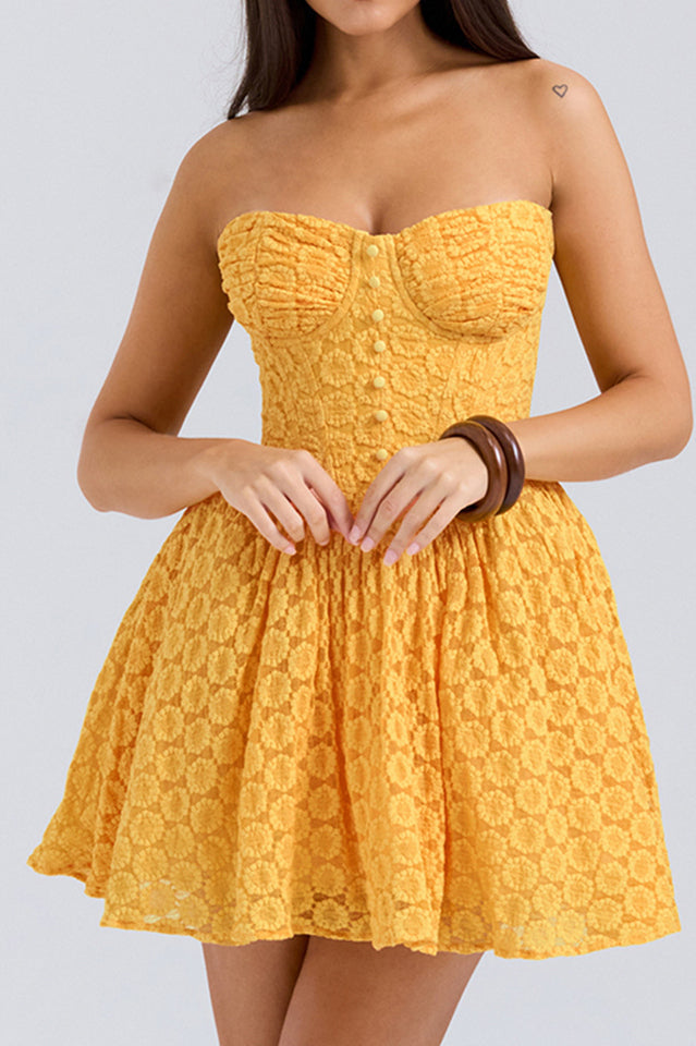 Carolina Apricot Lace Corset Mini Dress | Dress In Beauty