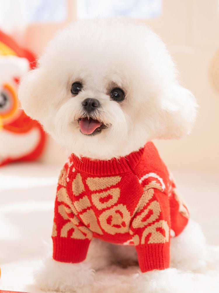 Small white dog wearing a red knit sweater with tan Chinese characters