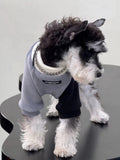 Miniature schnauzer from behind, wearing a grey and black dog onesie with a faux chain collar.