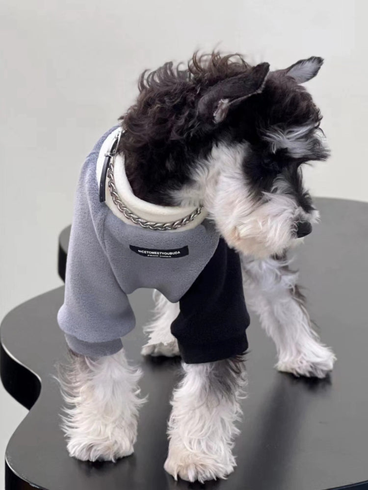Miniature schnauzer from behind, wearing a grey and black dog onesie with a faux chain collar.
