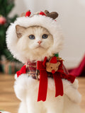 A white cat wearing a festive Christmas cape with reindeer antlers and a fuzzy trim.