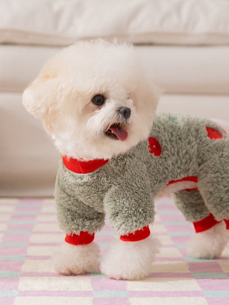 Side view of a white Bichon Frise dog wearing a light green fleece dog sweater with red trim and an embroidered pattern.