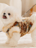 Dog on a leash wearing a winter dog vest