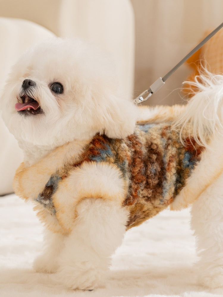 Dog on a leash wearing a winter dog vest