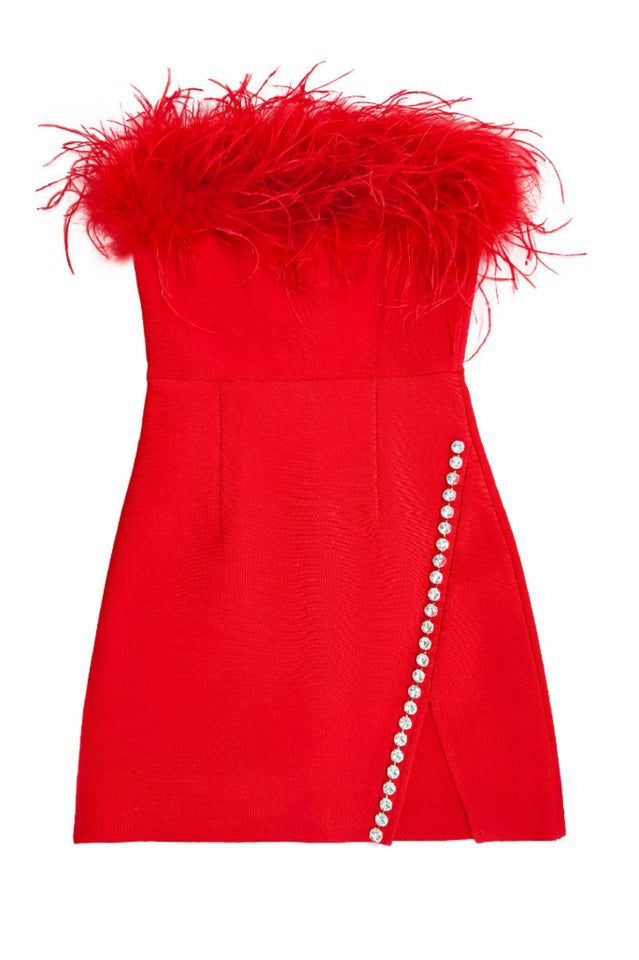 Design Mini Dress | Dress In Beauty