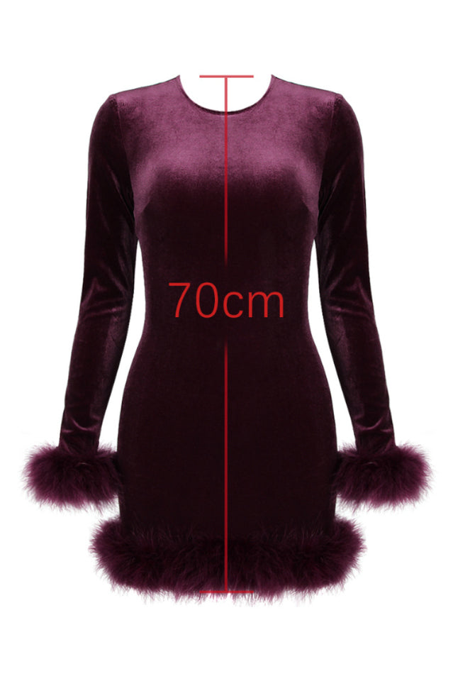 Lavinia Mulberry Velvet Mini Dress | Dress In Beauty