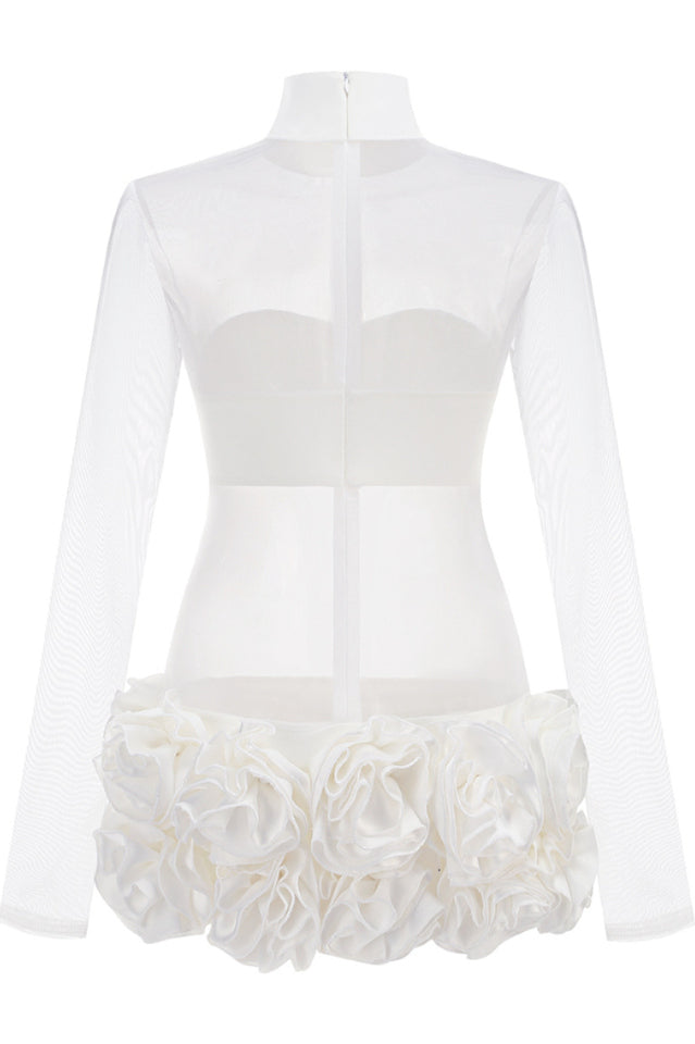 Sally Mock Neck Sheer Mini Dress | Dress In Beauty