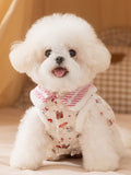 White Bichon Frise dog wearing a white pet garment with red and white striped trim and a teddy bear print.