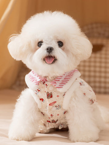 White Bichon Frise dog wearing a white pet garment with red and white striped trim and a teddy bear print.