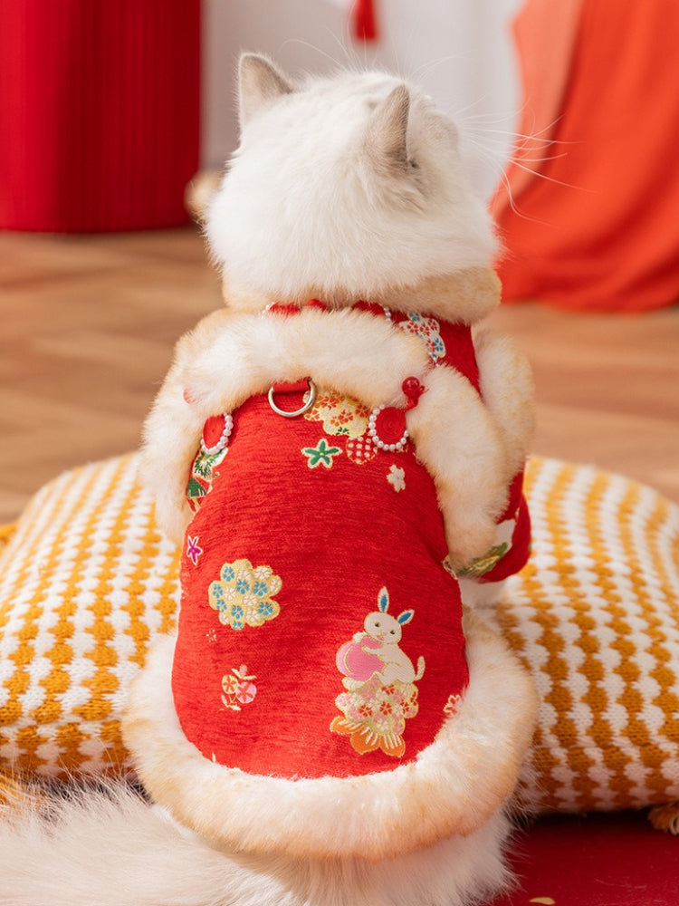 White cat wearing a red traditional Chinese style coat with floral embroidery and faux fur trim, looking to the side