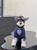 A miniature schnauzer puppy sits on a black surface, facing forward, wearing a navy blue dog sweatshirt with a graphic print and a chain collar.