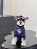 A miniature schnauzer puppy sits on a black surface, facing forward, wearing a navy blue dog sweatshirt with a graphic print and a chain collar.