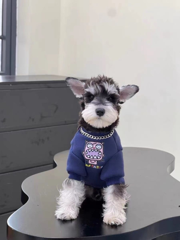 A miniature schnauzer puppy sits on a black surface, facing forward, wearing a navy blue dog sweatshirt with a graphic print and a chain collar.