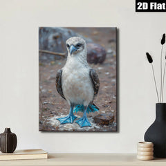 2D flat 1pc Blue Footed Booby Bird Wildlife Coastal Decor Living Room Bedroom Gallery Wrapped Canvas Wall Art Prints Modern Farmhouse Style