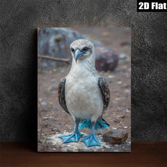 2D flat 1pc Blue Footed Booby Bird Wildlife Coastal Decor Living Room Bedroom Gallery Wrapped Canvas Wall Art Prints Modern Farmhouse Style