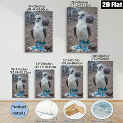 2D flat 1pc Blue Footed Booby Bird Wildlife Coastal Decor Living Room Bedroom Gallery Wrapped Canvas Wall Art Prints Modern Farmhouse Style