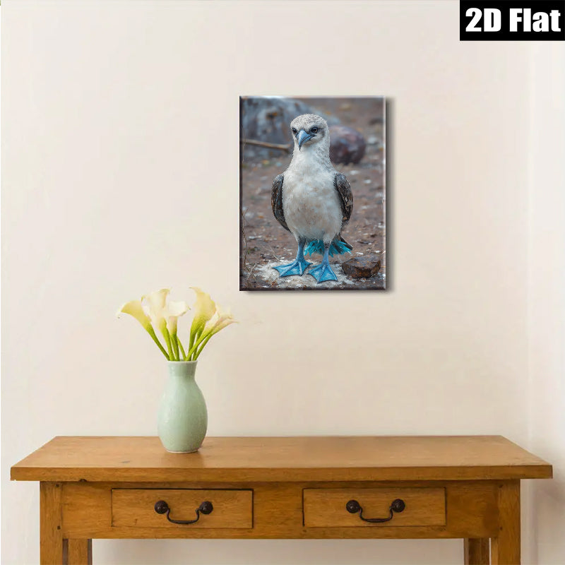 2D flat 1pc Blue Footed Booby Bird Wildlife Coastal Decor Living Room Bedroom Gallery Wrapped Canvas Wall Art Prints Modern Farmhouse Style