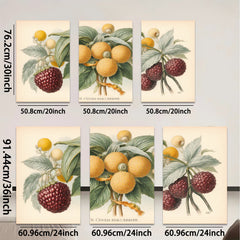 2D flat 1pc Botanical Illustration Vibrant Fruit Branch Wall Decor Gallery Wrapped Canvas Print Living Room Bedroom Home Office Art Modern Farmhouse Style