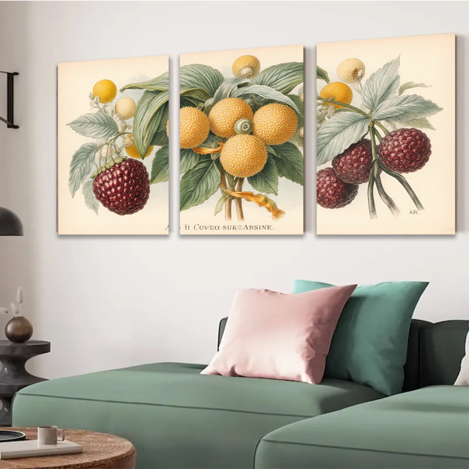 2D flat 1pc Botanical Illustration Vibrant Fruit Branch Wall Decor Gallery Wrapped Canvas Print Living Room Bedroom Home Office Art Modern Farmhouse Style