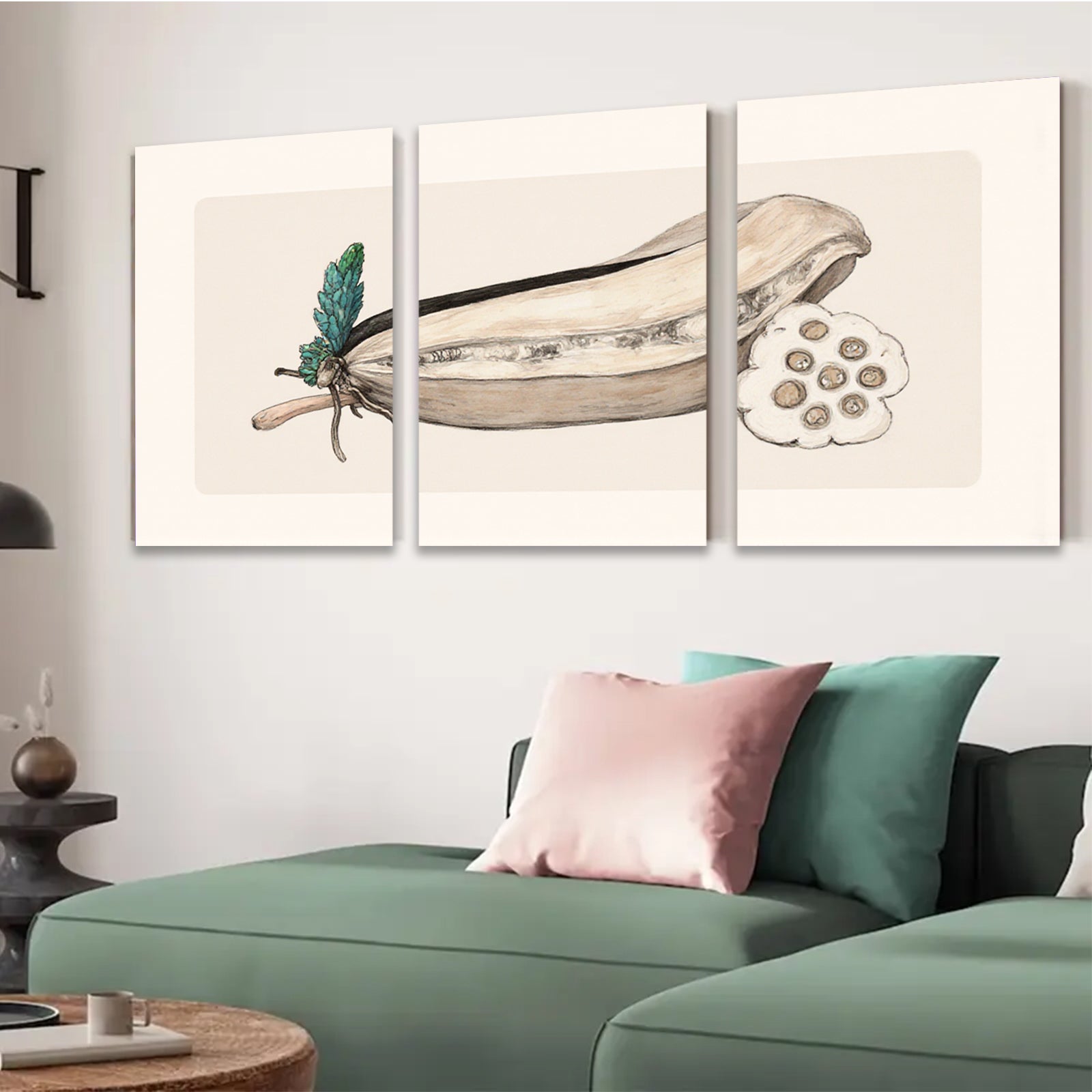 2D flat 1pc Botanical Study Pod with Seeds Farmhouse Wall Art Decor for Living Room Bedroom Gallery Wrapped Canvas Prints Modern Minimalist