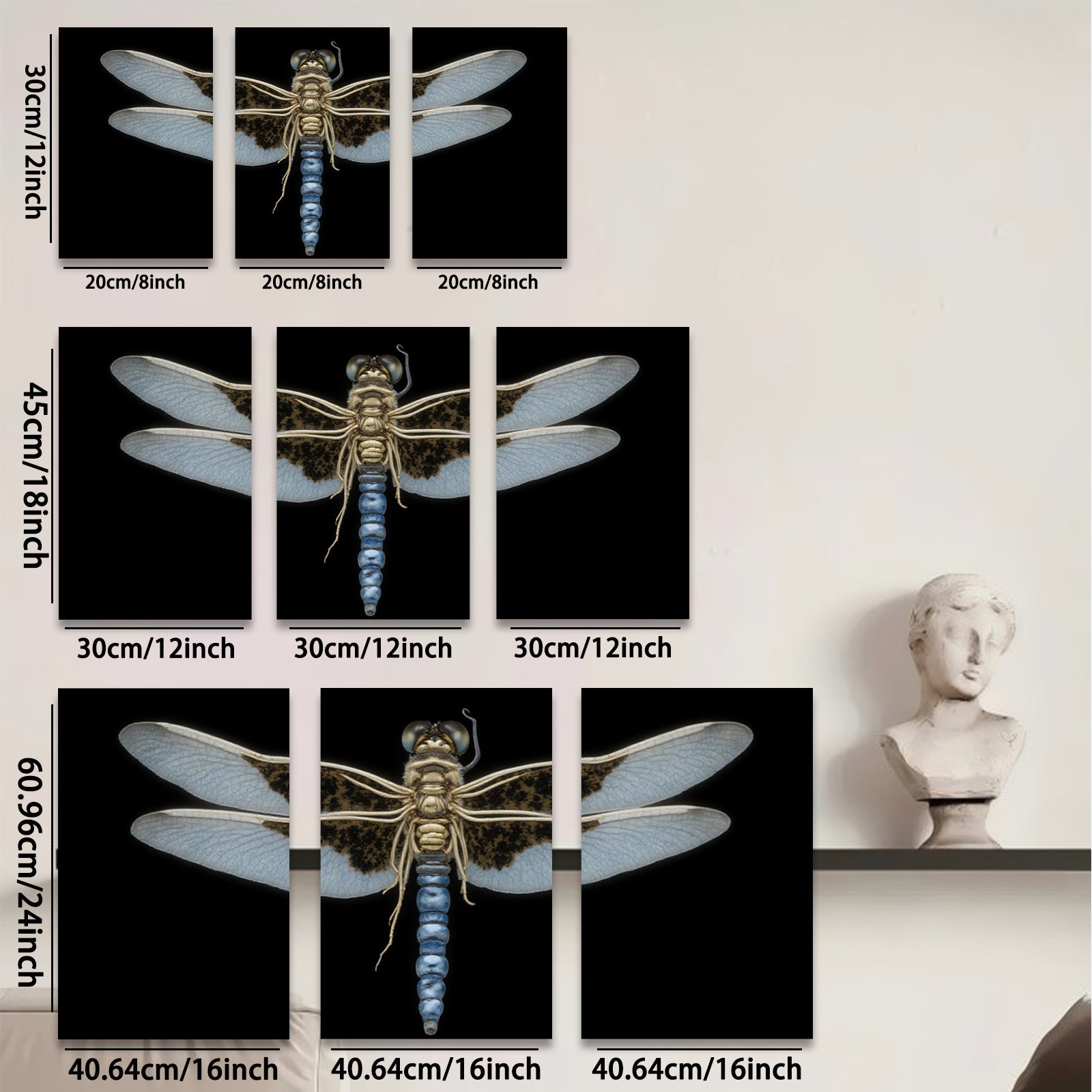 2D flat 1pc Dragonfly Specimen Wall Art Botanical Insect Study Living Room Bedroom Decor Farmhouse Style Gallery Wrapped Canvas Prints Modern Minimalist