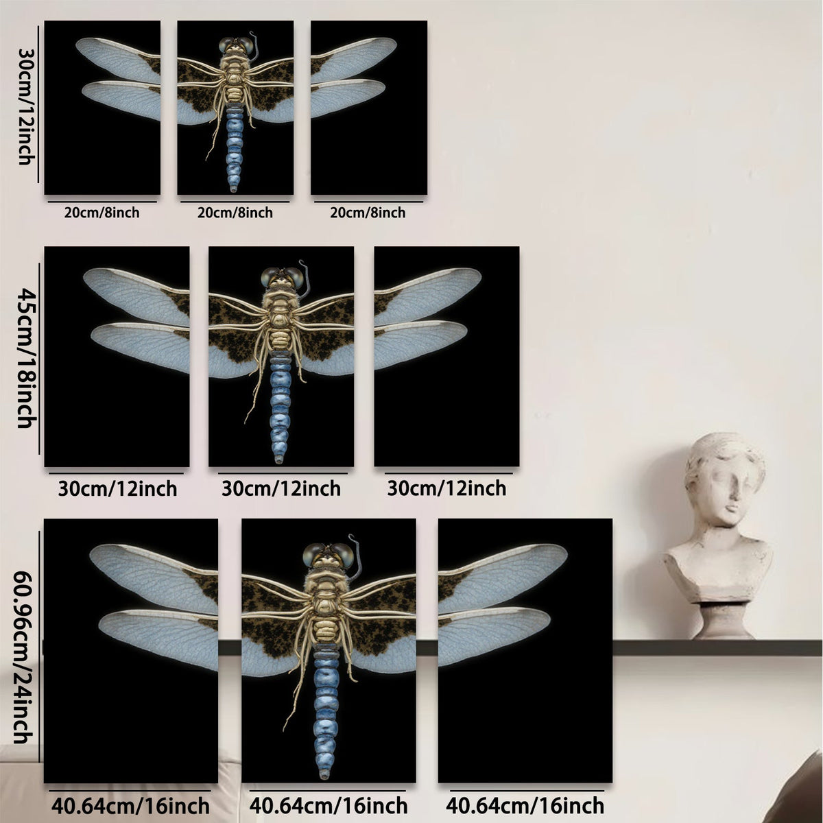 2D flat 1pc Dragonfly Specimen Wall Art Botanical Insect Study Living Room Bedroom Decor Farmhouse Style Gallery Wrapped Canvas Prints Modern Minimalist