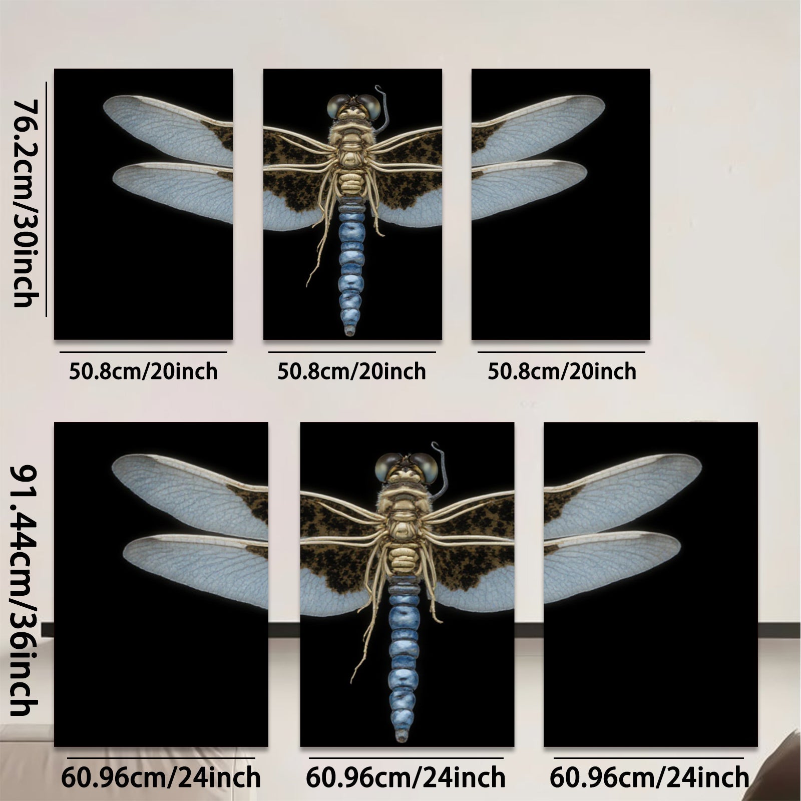 2D flat 1pc Dragonfly Specimen Wall Art Botanical Insect Study Living Room Bedroom Decor Farmhouse Style Gallery Wrapped Canvas Prints Modern Minimalist