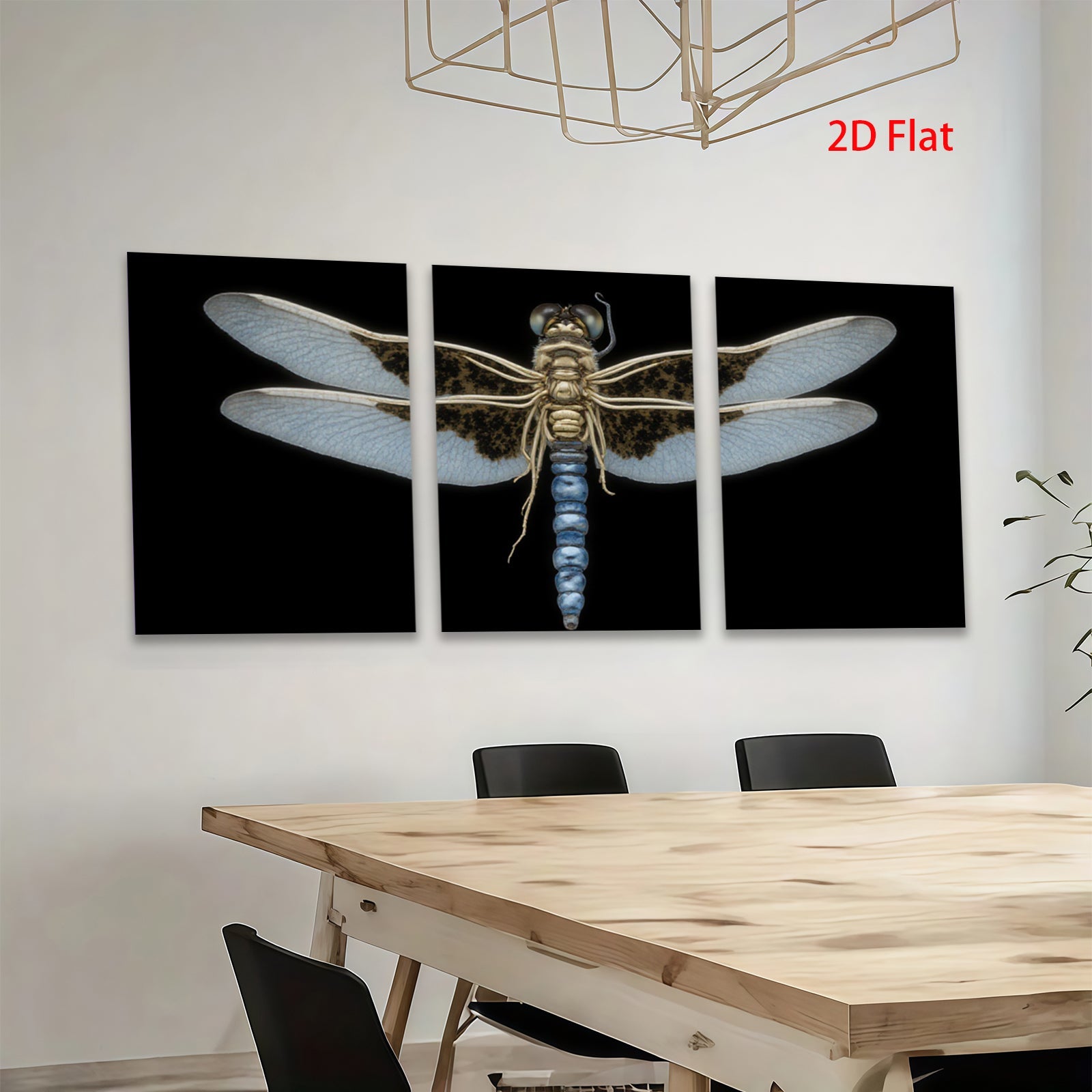 2D flat 1pc Dragonfly Specimen Wall Art Botanical Insect Study Living Room Bedroom Decor Farmhouse Style Gallery Wrapped Canvas Prints Modern Minimalist