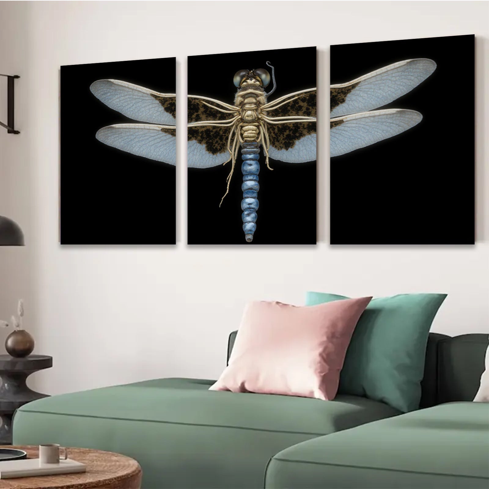 2D flat 1pc Dragonfly Specimen Wall Art Botanical Insect Study Living Room Bedroom Decor Farmhouse Style Gallery Wrapped Canvas Prints Modern Minimalist