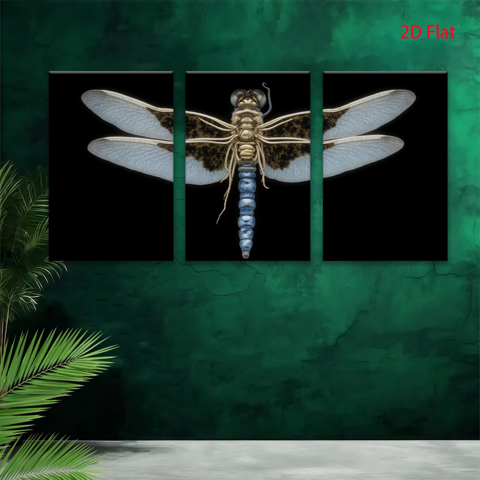 2D flat 1pc Dragonfly Specimen Wall Art Botanical Insect Study Living Room Bedroom Decor Farmhouse Style Gallery Wrapped Canvas Prints Modern Minimalist