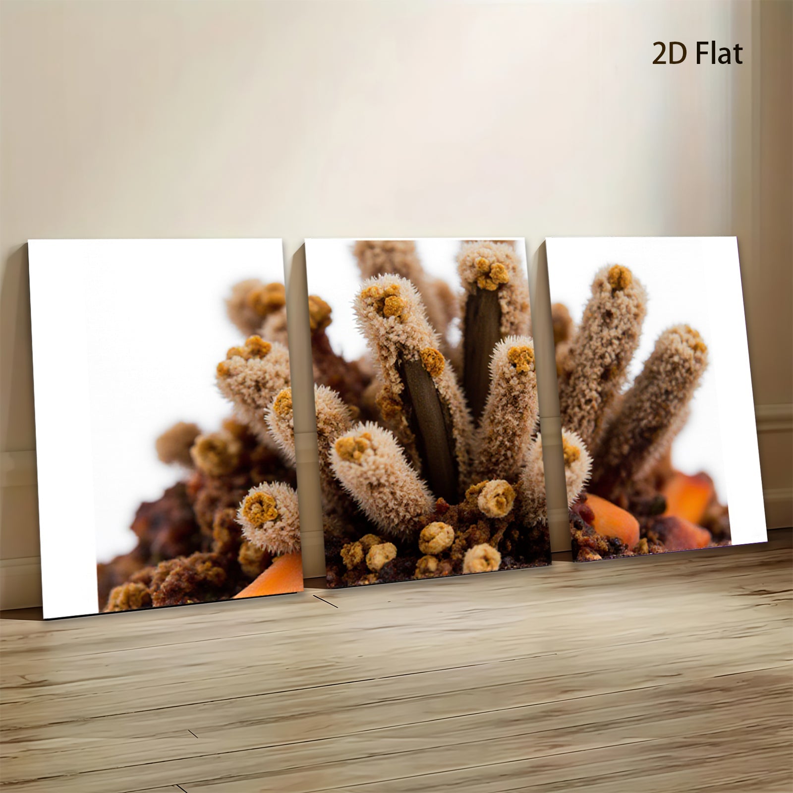 2D flat 1pc Dried Floral Arrangement Rustic Farmhouse Decor Gallery Wall Art Botanical Prints Cozy Living Room Bedroom Office Modern Minimalist