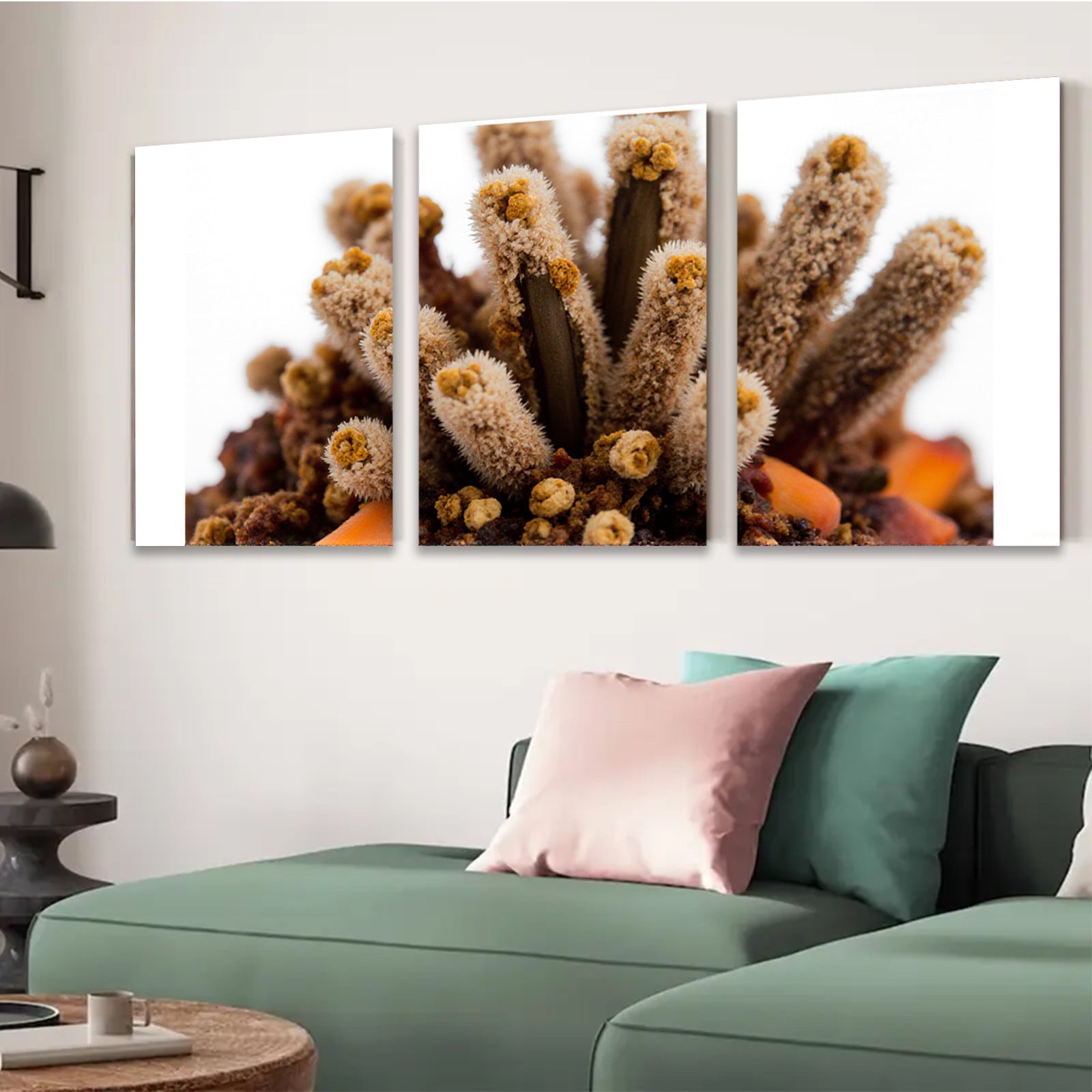 2D flat 1pc Dried Floral Arrangement Rustic Farmhouse Decor Gallery Wall Art Botanical Prints Cozy Living Room Bedroom Office Modern Minimalist