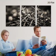 2D flat 1pc Dried Seed Heads Botanical Wall Art Farmhouse Decor Living Room Bedroom Gallery Wrapped Canvas Print Modern Minimalist Art Coastal Chic Rustic Textured Aesthetic