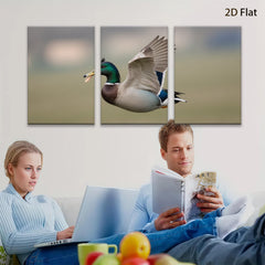 2D flat 1pc Mallard Duck in Flight Wildlife Art Canvas Print for Living Room Bedroom Home Decor Farmhouse Style Wall Art