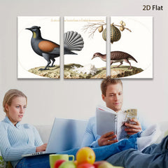 2D flat 1pc New Zealand native birds botanical wall art print farmhouse living room decor gallery wrapped canvas modern minimalist style