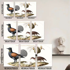 2D flat 1pc New Zealand native birds botanical wall art print farmhouse living room decor gallery wrapped canvas modern minimalist style