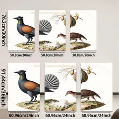 2D flat 1pc New Zealand native birds botanical wall art print farmhouse living room decor gallery wrapped canvas modern minimalist style