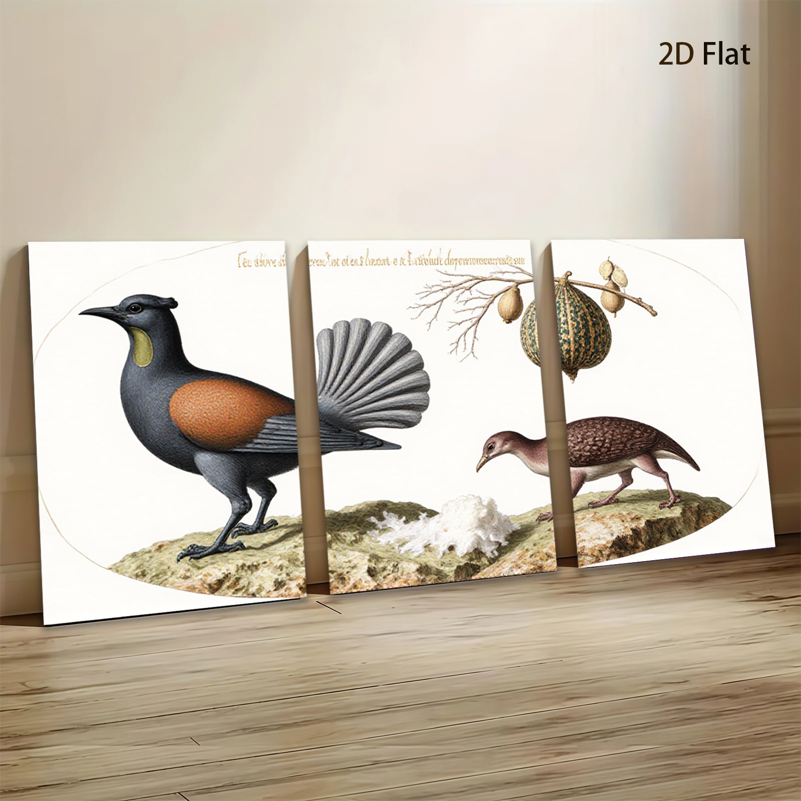 2D flat 1pc New Zealand native birds botanical wall art print farmhouse living room decor gallery wrapped canvas modern minimalist style