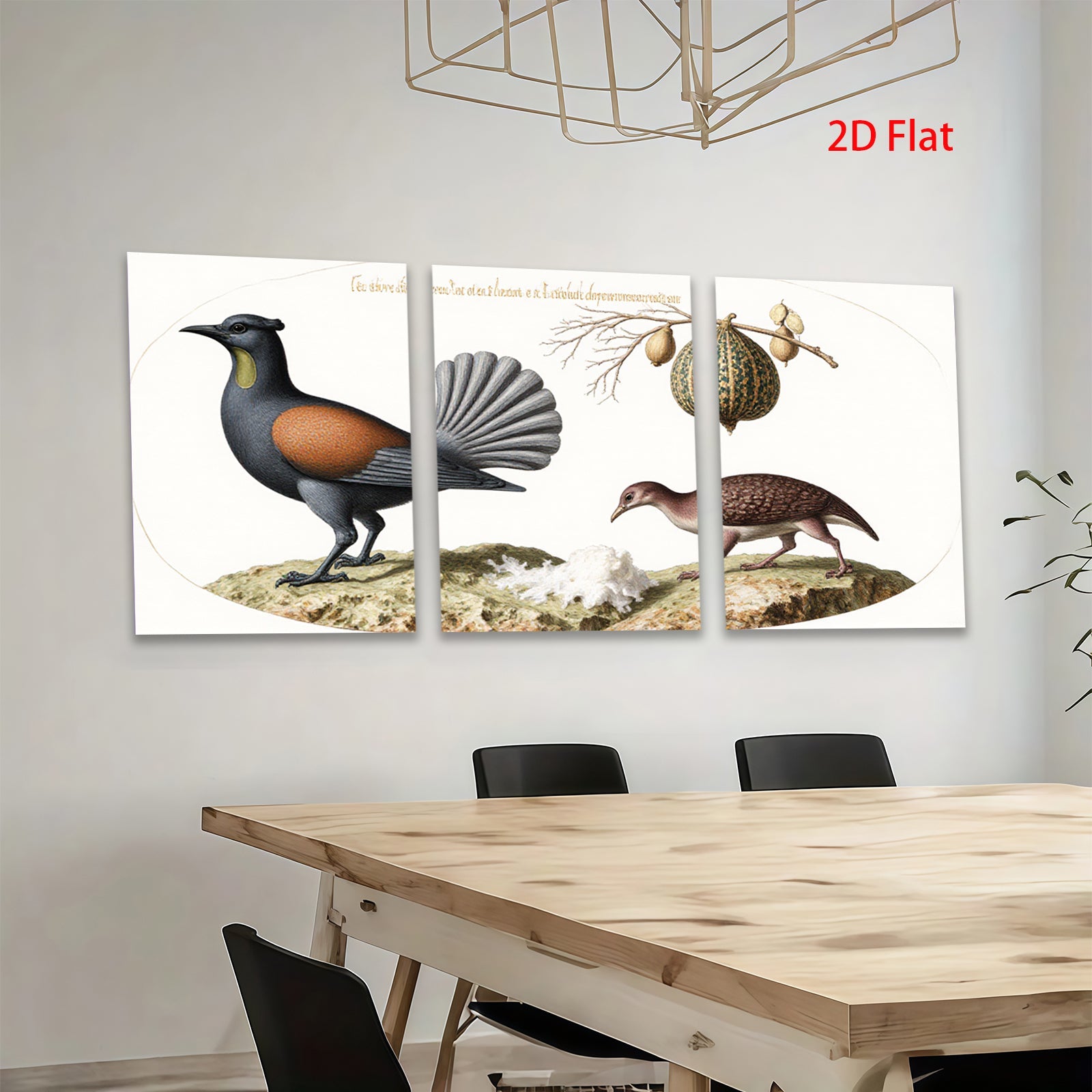 2D flat 1pc New Zealand native birds botanical wall art print farmhouse living room decor gallery wrapped canvas modern minimalist style